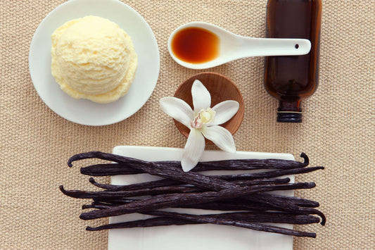 La Vainilla en la Perfumería: Historia, Tipos y su Encanto Atemporal