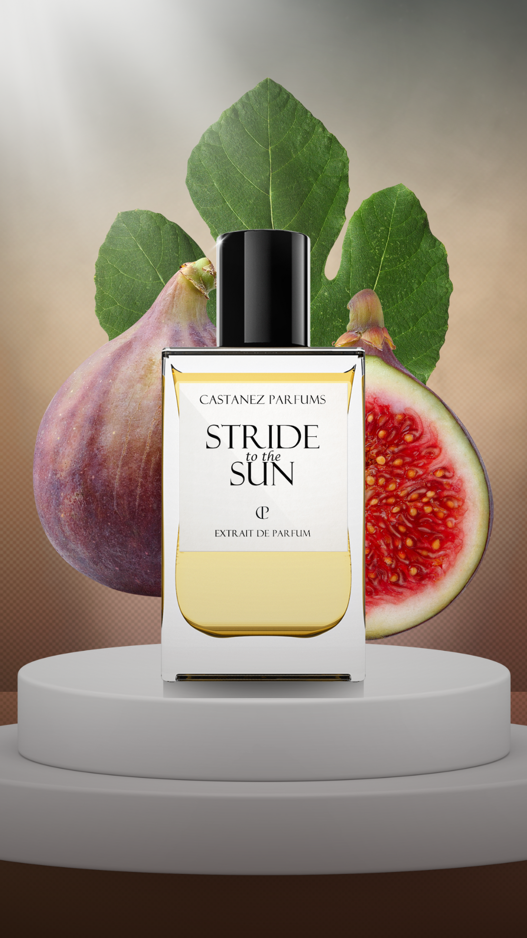 STRIDE TO THE SUN