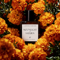 MOONLIGHT IN SATURN