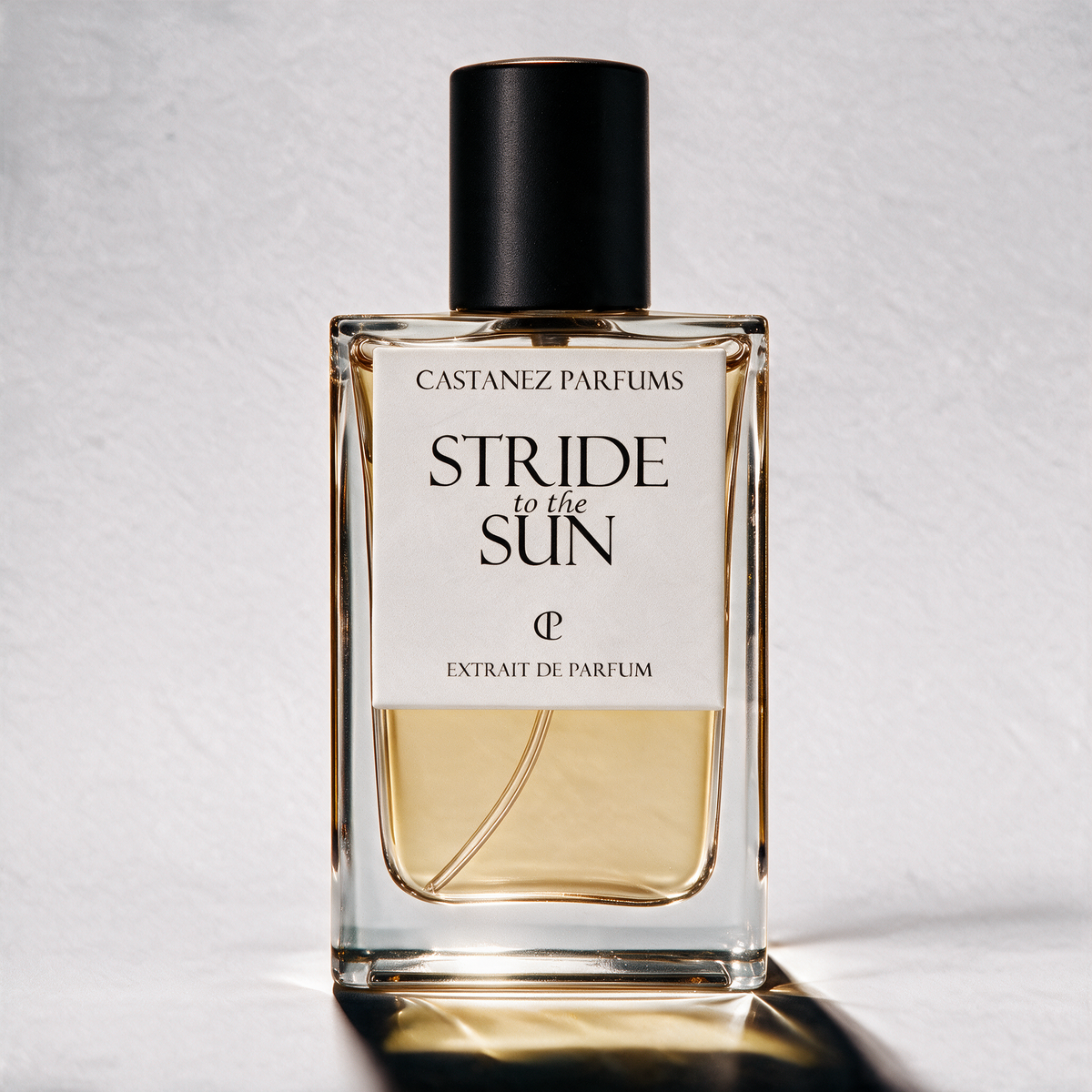STRIDE TO THE SUN