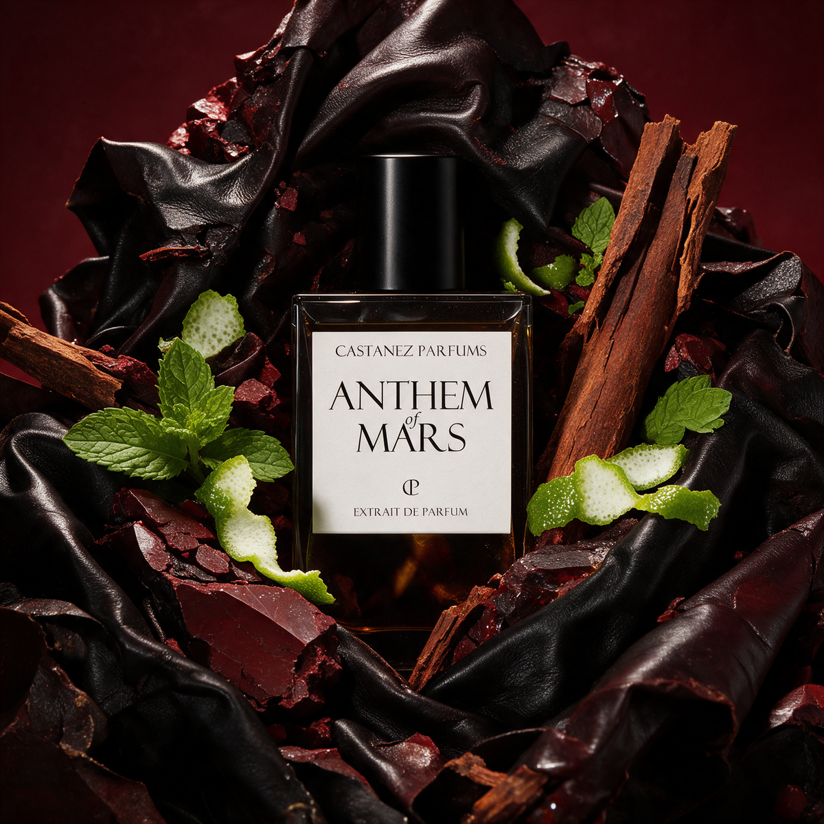 ANTHEM OF MARS de Castanez Parfums, imagen editorial de la fragancia