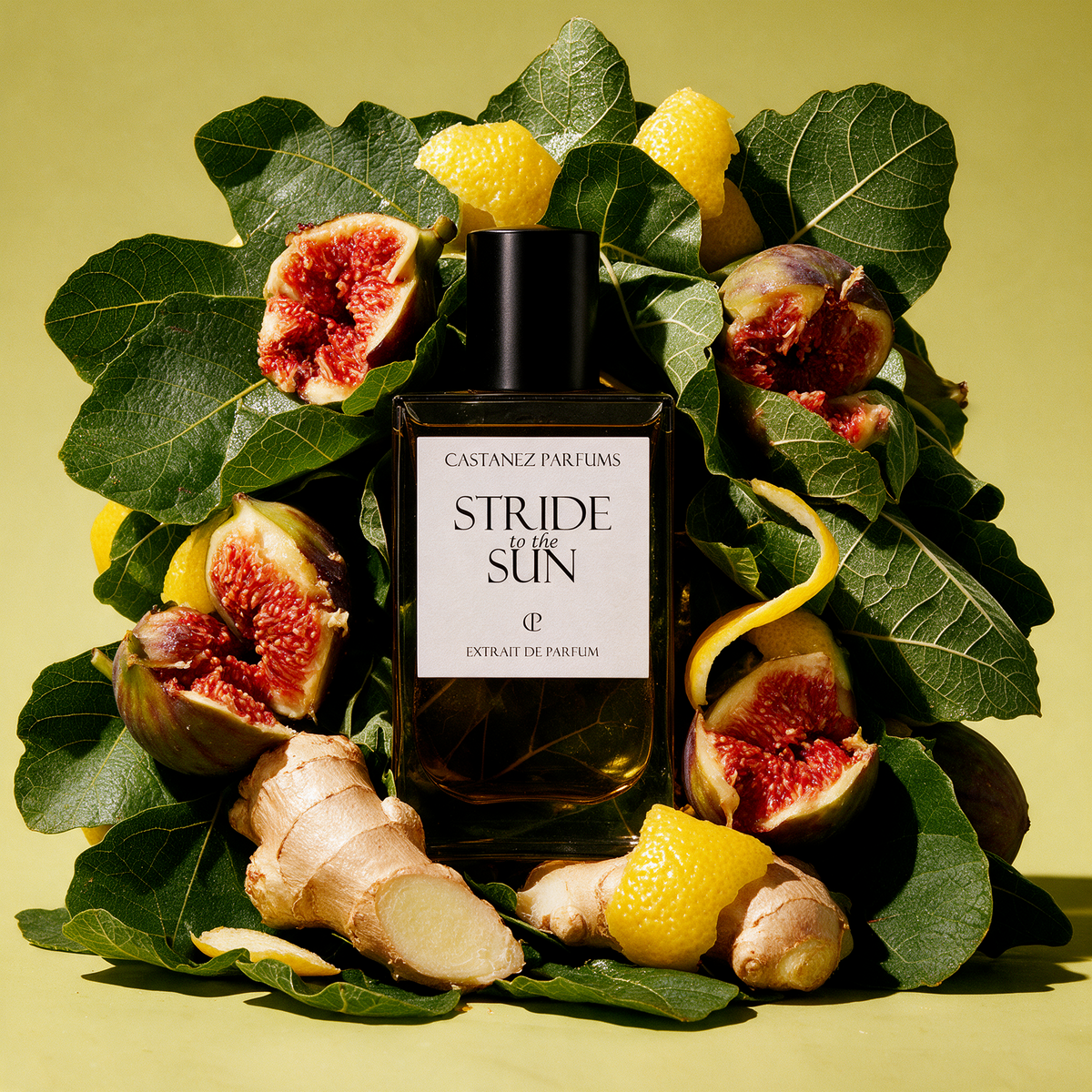Stride to the Sun Castanez Parfums higo jengibre citricos